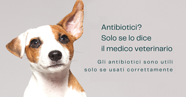 antibioticoresistenza